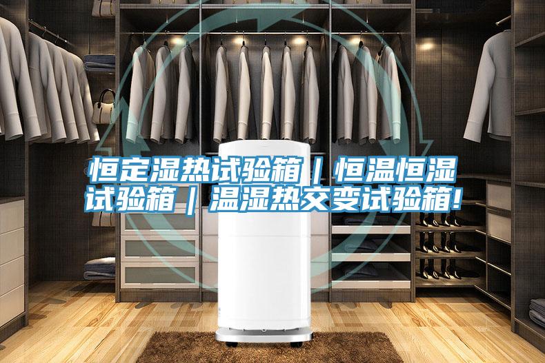 恒定濕熱試驗箱|恒溫恒濕試驗箱|溫濕熱交變試驗箱!