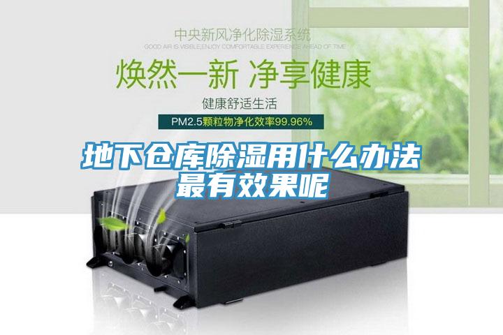 地下倉(cāng)庫(kù)除濕用什么辦法最有效果呢
