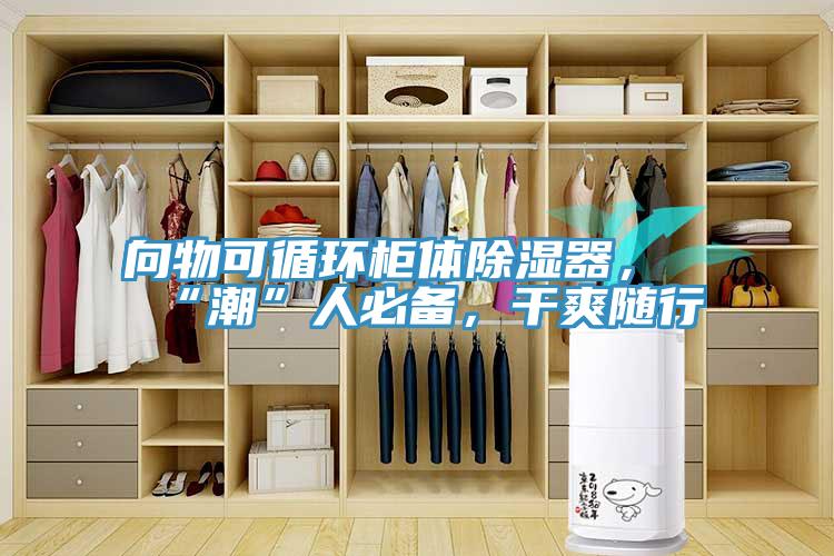 向物可循環(huán)柜體除濕器,“潮”人必備,干爽隨行