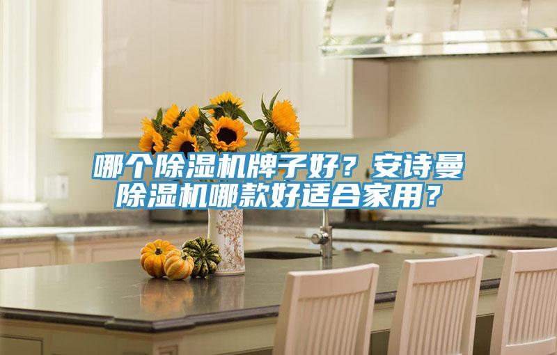 哪個除濕機牌子好？安詩曼除濕機哪款好適合家用？