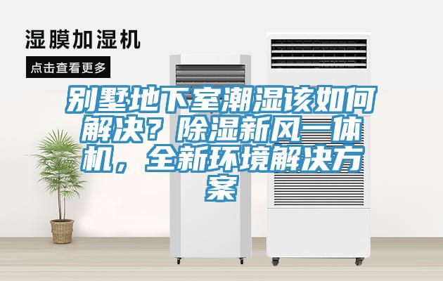 別墅地下室潮濕該如何解決？除濕新風一體機，全新環境解決方案