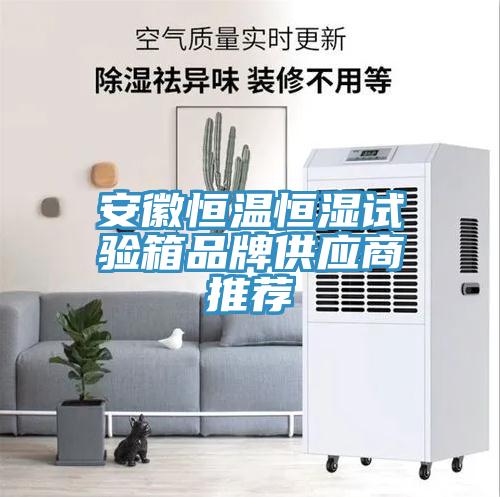 安徽恒溫恒濕試驗箱品牌供應商推薦