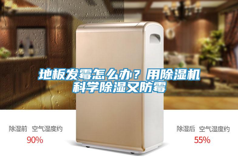 地板發霉怎么辦?用除濕機科學除濕又防霉