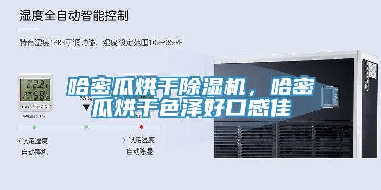 哈密瓜烘干除濕機，哈密瓜烘干色澤好口感佳