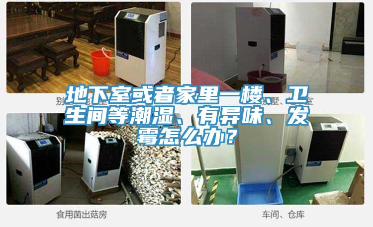地下室或者家里一樓、衛(wèi)生間等潮濕、有異味、發(fā)霉怎么辦?