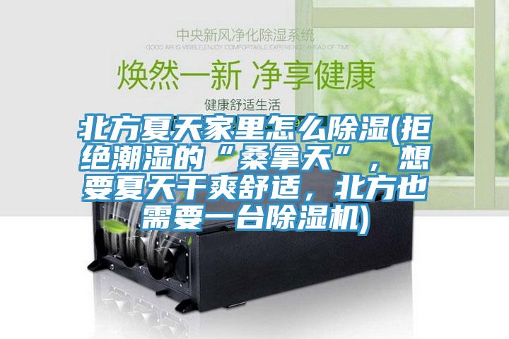北方夏天家里怎么除濕(拒絕潮濕的“桑拿天”,想要夏天干爽舒適,北方也需要一臺(tái)除濕機(jī))