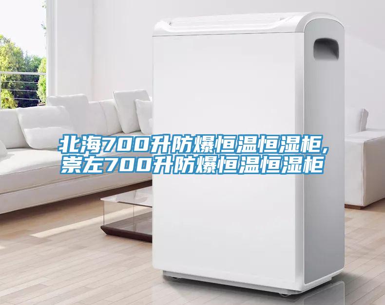 北海700升防爆恒溫恒濕柜,崇左700升防爆恒溫恒濕柜