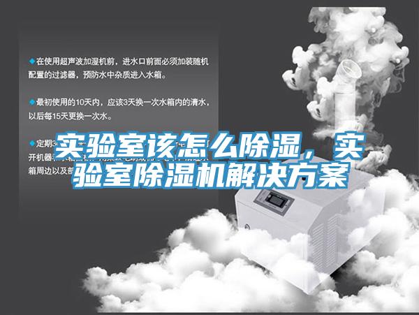 實驗室該怎么除濕,實驗室除濕機解決方案
