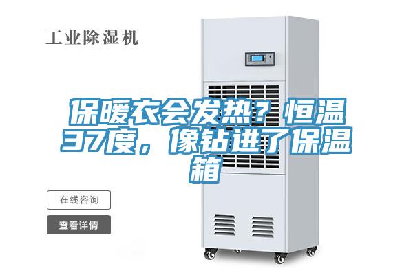 保暖衣會發熱?恒溫37度,像鉆進了保溫箱