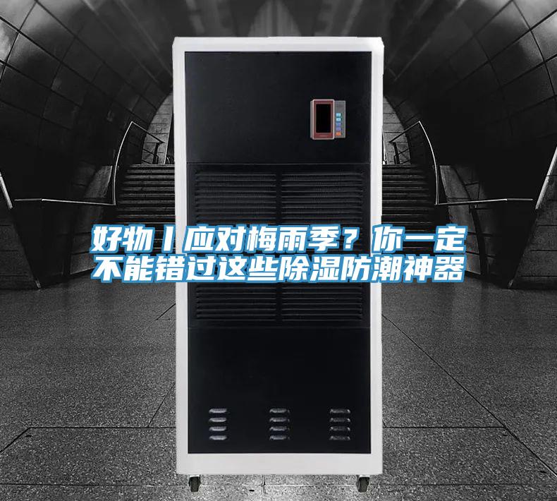 好物丨應對梅雨季?你一定不能錯過這些除濕防潮神器