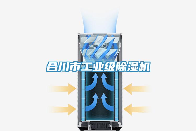 合川市工業級除濕機
