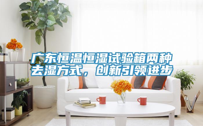 廣東恒溫恒濕試驗箱兩種去濕方式,創新引領進步