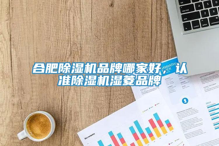 合肥除濕機(jī)品牌哪家好，認(rèn)準(zhǔn)除濕機(jī)濕菱品牌