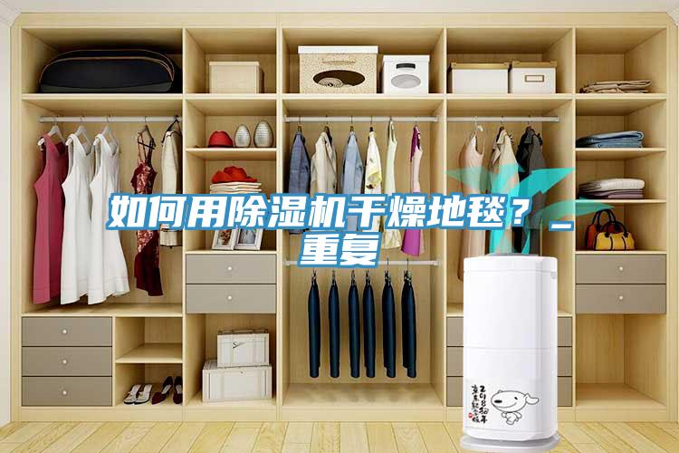 如何用除濕機(jī)干燥地毯？_重復(fù)