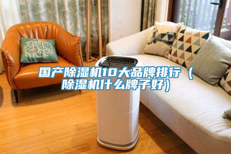 國產(chǎn)除濕機(jī)10大品牌排行（除濕機(jī)什么牌子好）