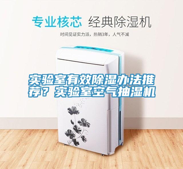 實驗室有效除濕辦法推薦?實驗室空氣抽濕機