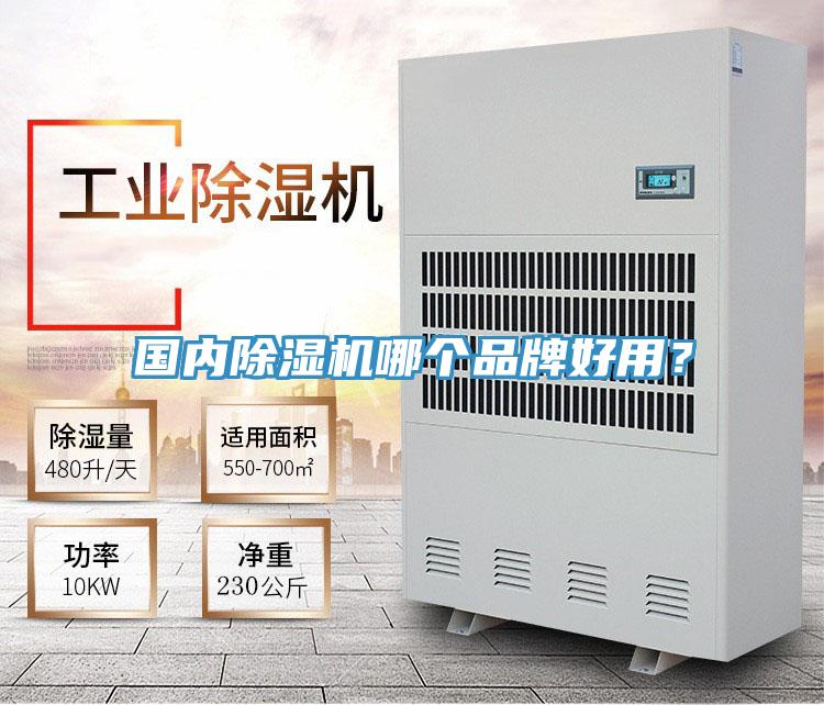 國內(nèi)除濕機(jī)哪個(gè)品牌好用？
