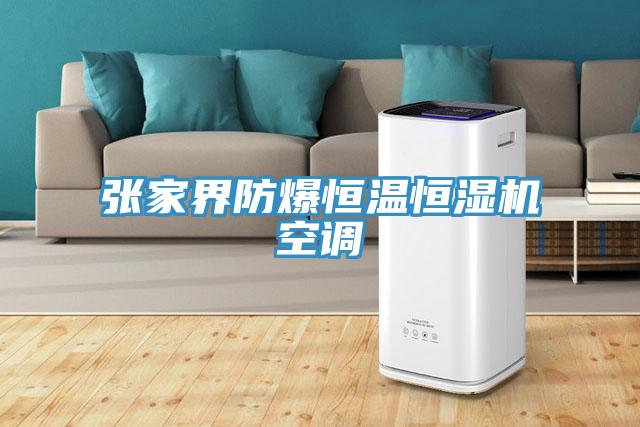 張家界防爆恒溫恒濕機空調