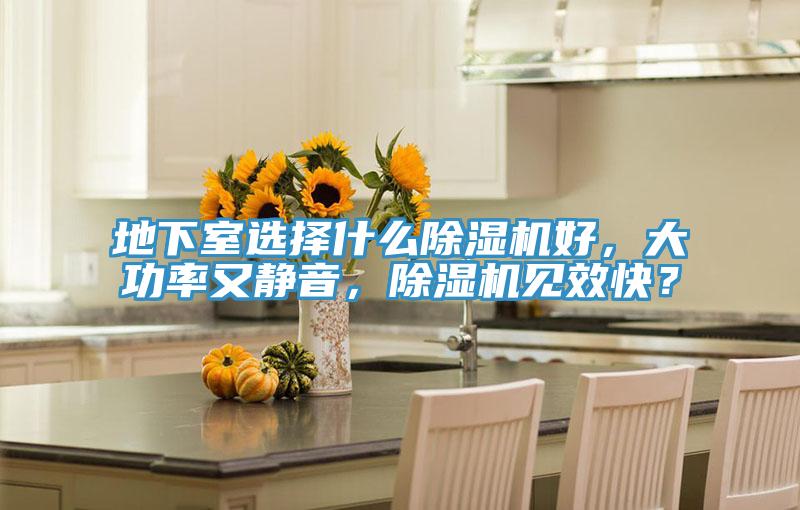 地下室選擇什么除濕機(jī)好,大功率又靜音,除濕機(jī)見效快?