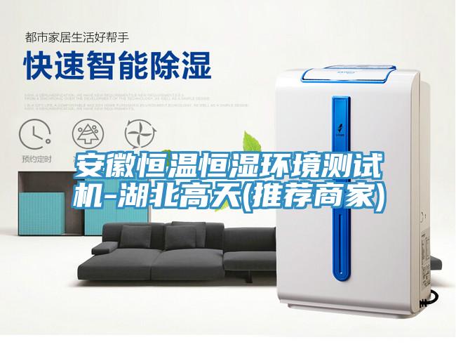 安徽恒溫恒濕環境測試機-湖北高天(推薦商家)