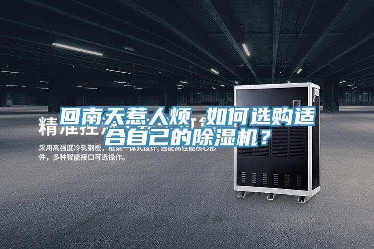 回南天惹人煩 如何選購適合自己的除濕機?