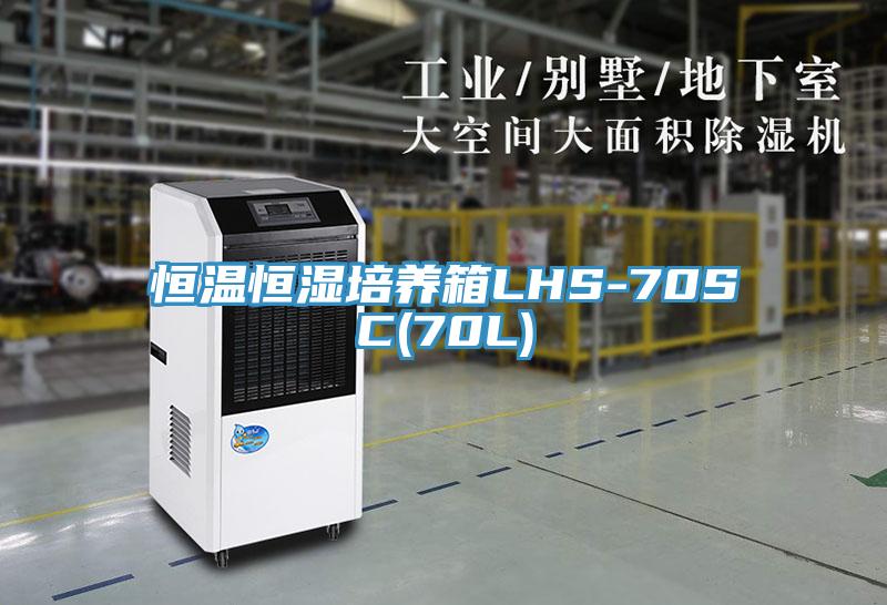 恒溫恒濕培養箱LHS-70SC(70L)