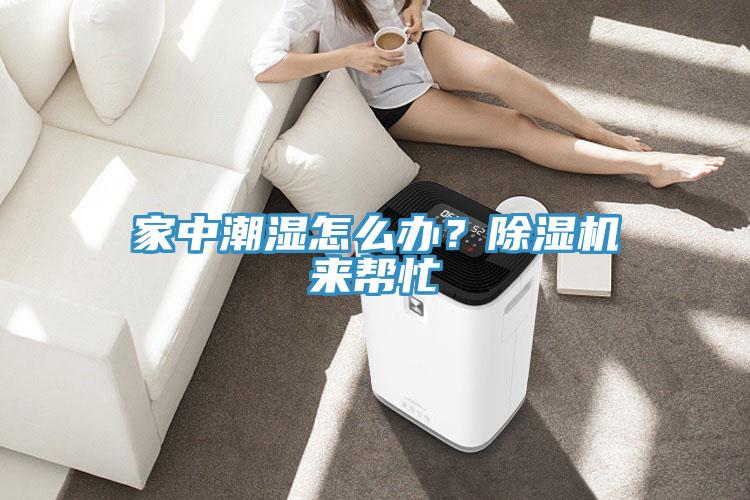 家中潮濕怎么辦？除濕機來幫忙