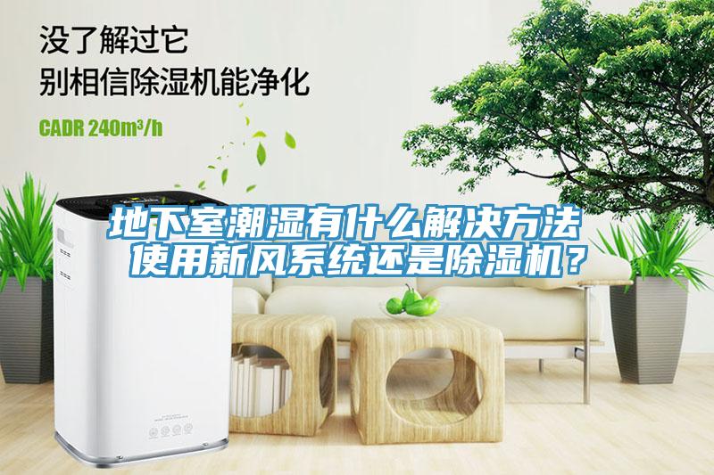 地下室潮濕有什么解決方法 使用新風系統還是除濕機？