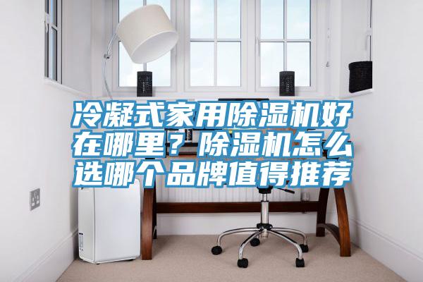 冷凝式家用除濕機好在哪里？除濕機怎么選哪個品牌值得推薦