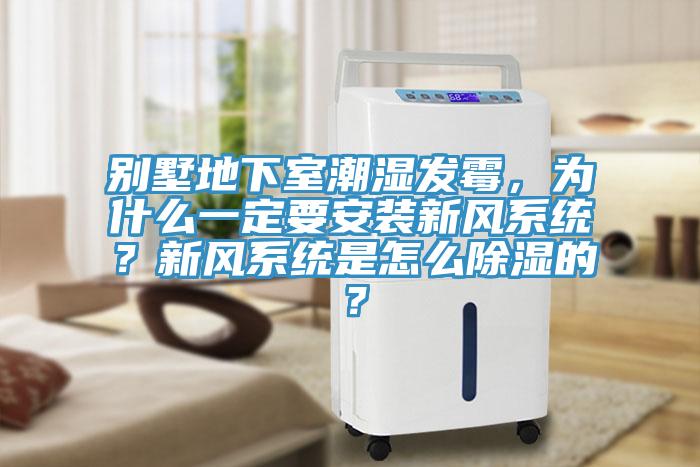 別墅地下室潮濕發霉,為什么一定要安裝新風系統?新風系統是怎么除濕的?