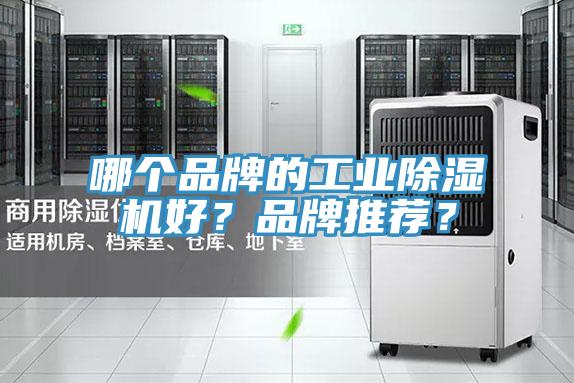 哪個品牌的工業(yè)除濕機好？品牌推薦？
