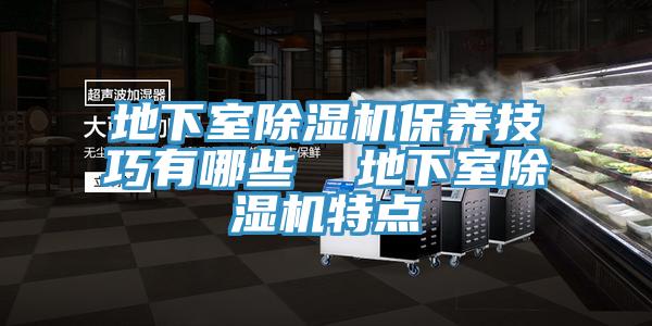 地下室除濕機保養技巧有哪些 地下室除濕機特點