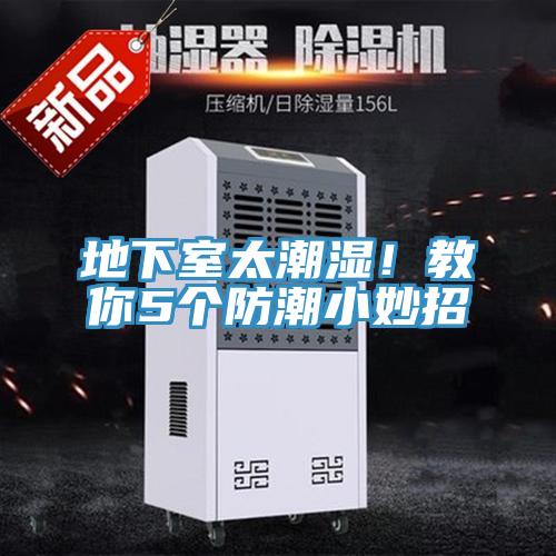 地下室太潮濕！教你5個防潮小妙招