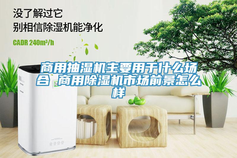 商用抽濕機(jī)主要用于什么場(chǎng)合 商用除濕機(jī)市場(chǎng)前景怎么樣