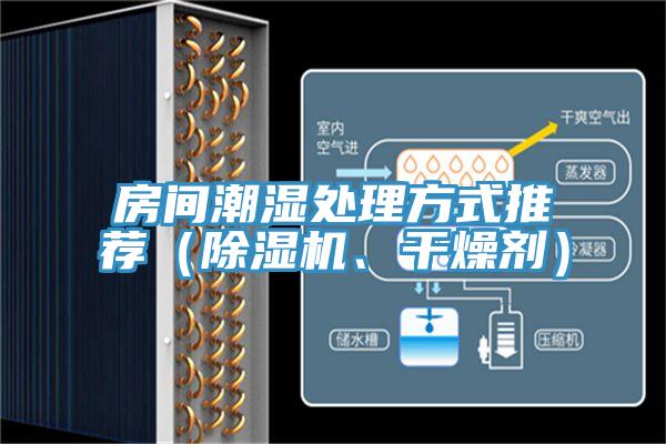 房間潮濕處理方式推薦(除濕機(jī)、干燥劑)