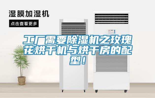 工廠需要除濕機之玫瑰花烘干機與烘干房的配型！