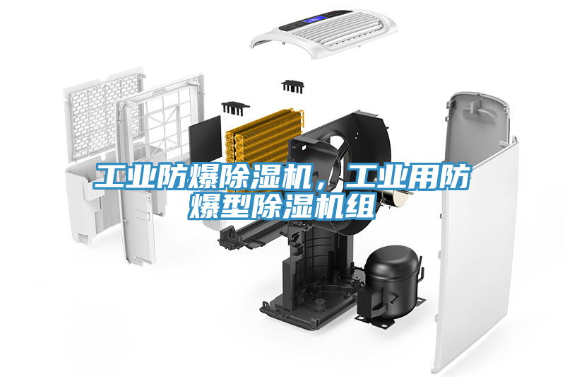 工業(yè)防爆除濕機(jī),工業(yè)用防爆型除濕機(jī)組