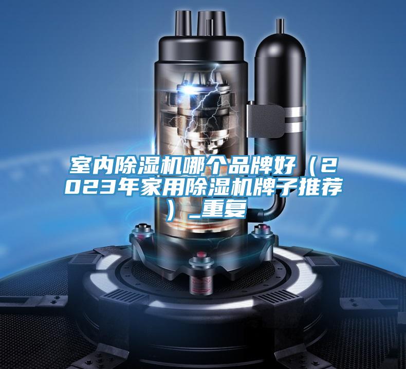 室內除濕機哪個品牌好(2023年家用除濕機牌子推薦)_重復