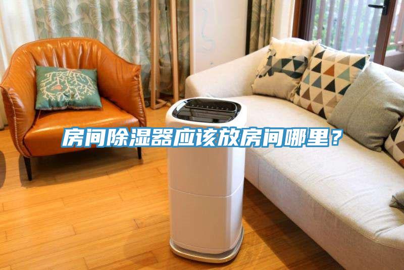 房間除濕器應該放房間哪里？