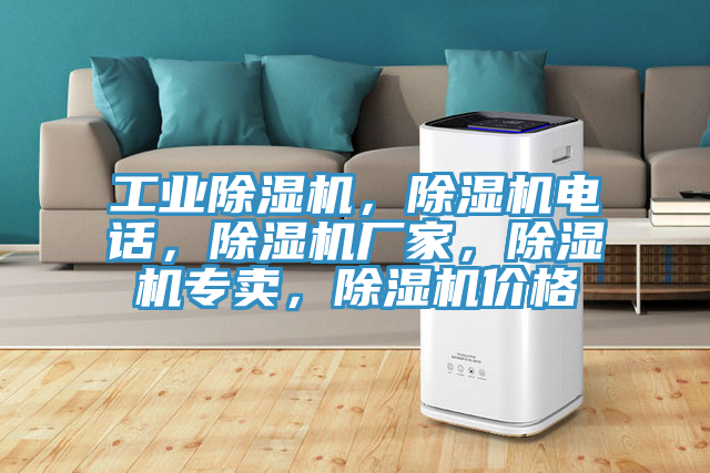 工業除濕機，除濕機電話，除濕機廠家，除濕機專賣，除濕機價格