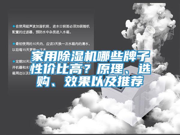 家用除濕機哪些牌子性價比高?原理、選購、效果以及推薦