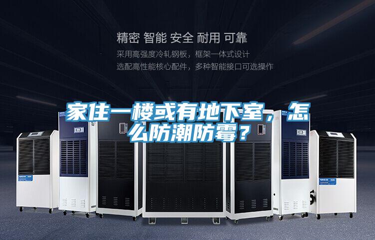 家住一樓或有地下室,怎么防潮防霉?