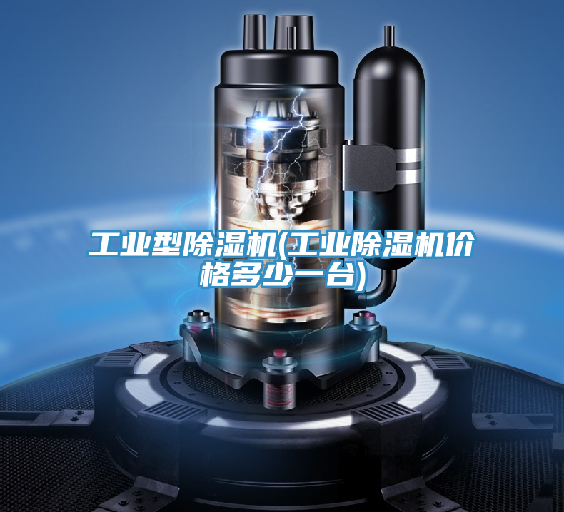 工業(yè)型除濕機(jī)(工業(yè)除濕機(jī)價格多少一臺)