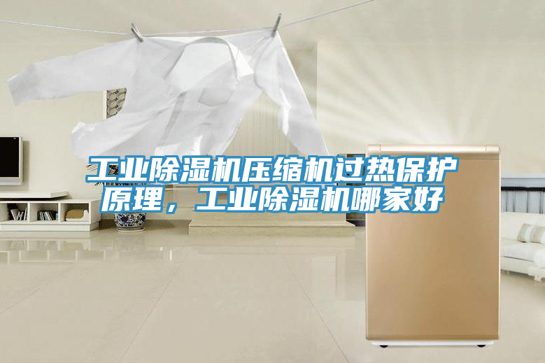 工業(yè)除濕機壓縮機過熱保護原理，工業(yè)除濕機哪家好