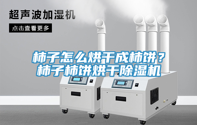 柿子怎么烘干成柿餅？柿子柿餅烘干除濕機