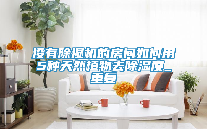 沒(méi)有除濕機(jī)的房間如何用5種天然植物去除濕度_重復(fù)