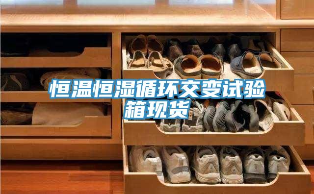 恒溫恒濕循環交變試驗箱現貨