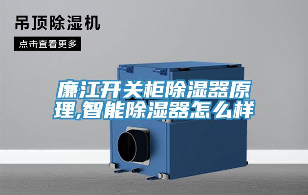 廉江開關柜除濕器原理,智能除濕器怎么樣