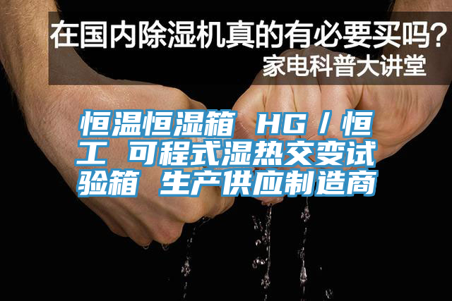 恒溫恒濕箱 HG／恒工 可程式濕熱交變試驗箱 生產供應制造商