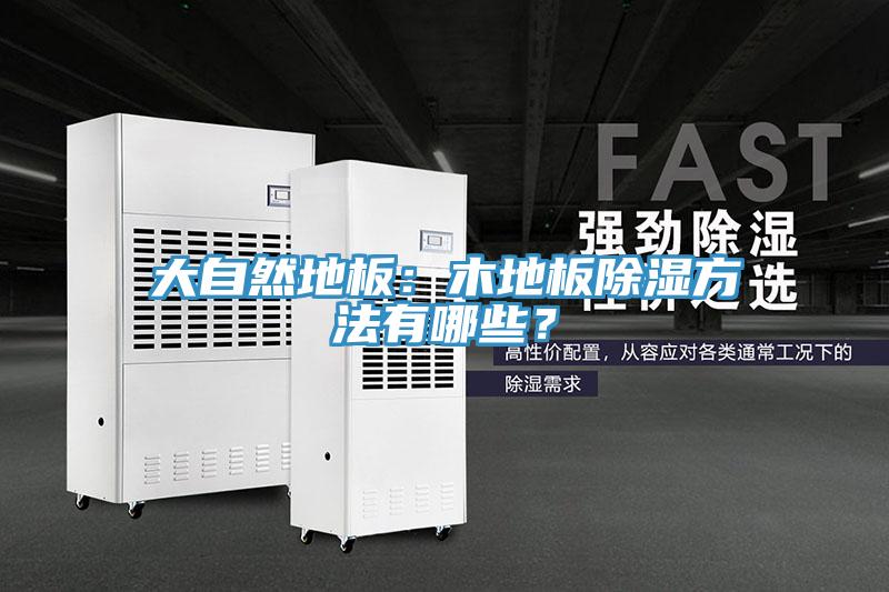 大自然地板:木地板除濕方法有哪些?